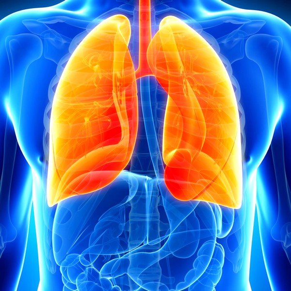 Симптомы пневмонии довольно похожи на признаки очагового туберкулёза и также длятся долго