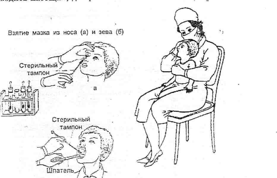 Презентация мазок из зева и носа