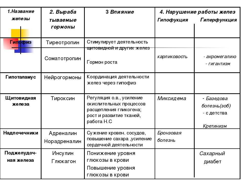 Таблица железа гормон заболевания