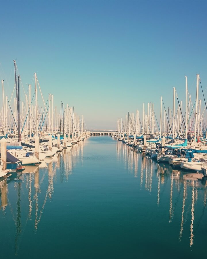 Horizon of masts in marina