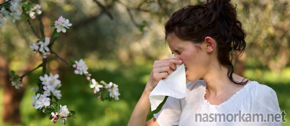чихание и насморк без температуры причины аллергия