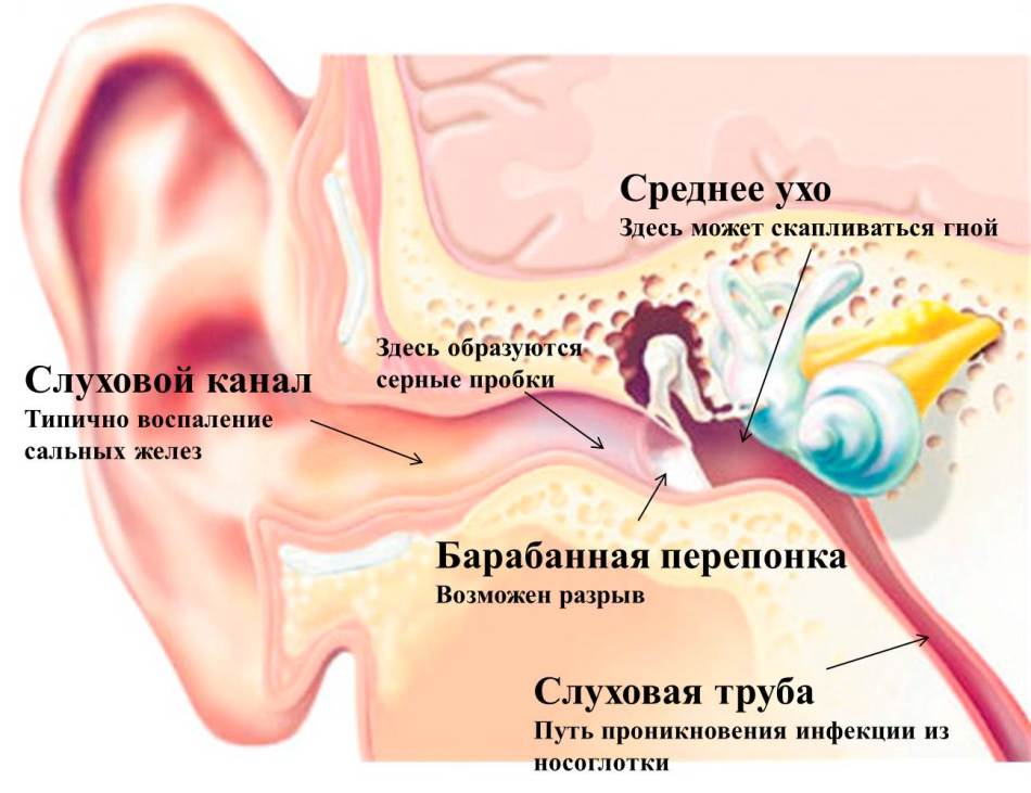 Что такое носовой клапан