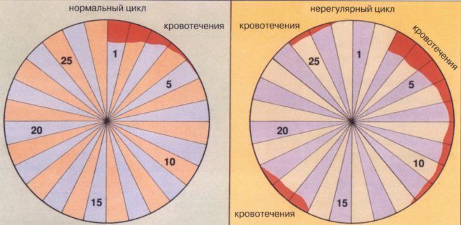 Нарушения менструального цикла у женщин