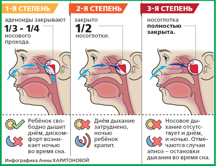 степени