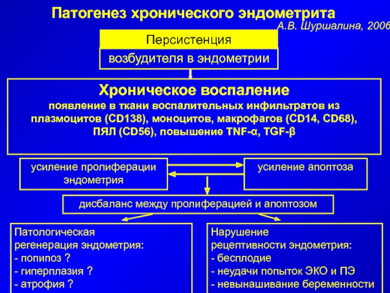 Что делает эндометрит. Хронический эндометрит патогенез. Хронический эндометрит этиология. Эндометрит патогенез. Патогенез Гнойного эндометрита.