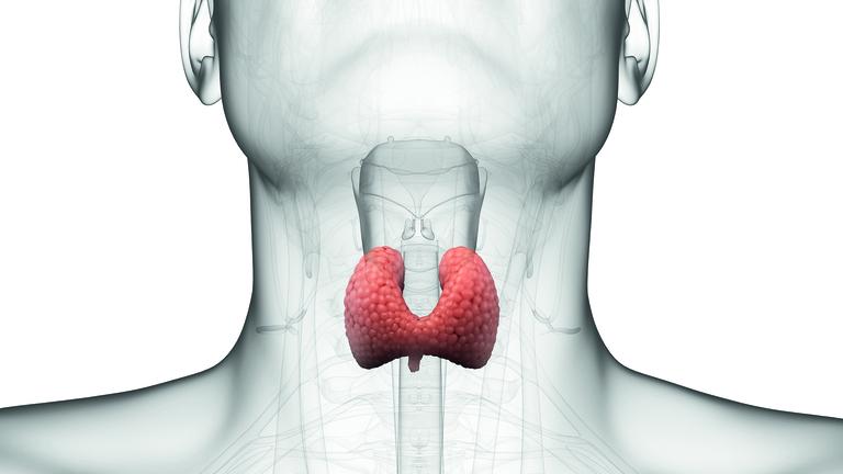 Treatment of thyroid gland