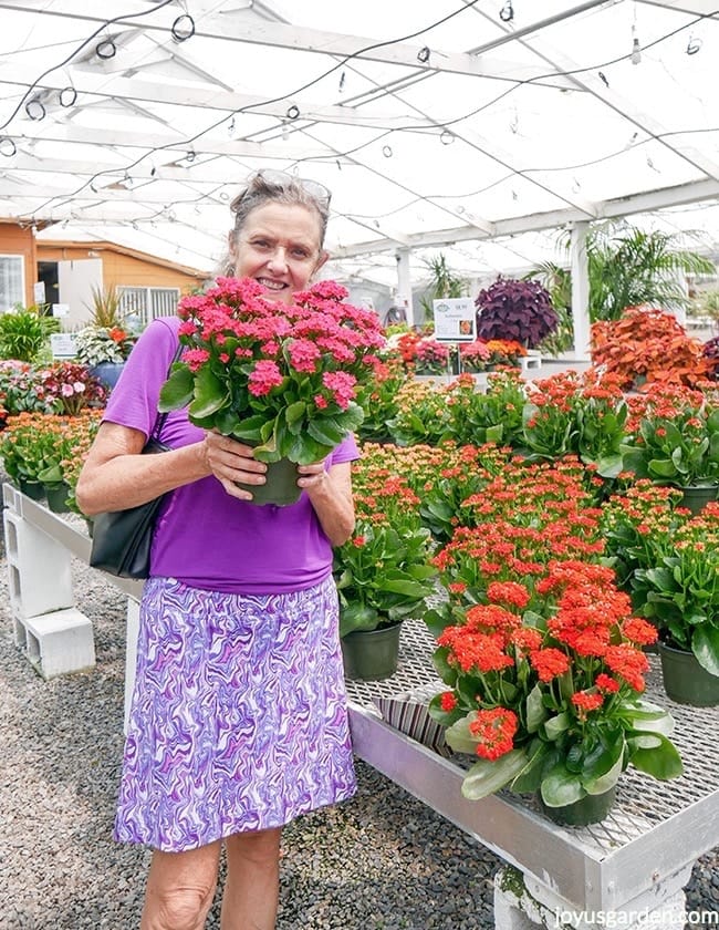 Nell Foster is holding a hot pink kalanchoe at a garden center. She