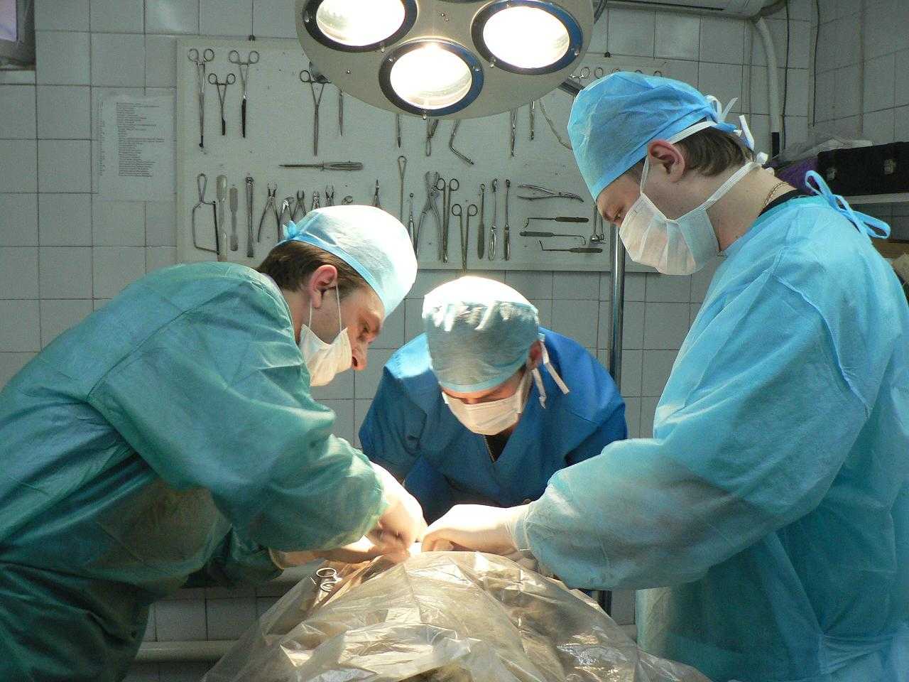Специализация по хирургии 
